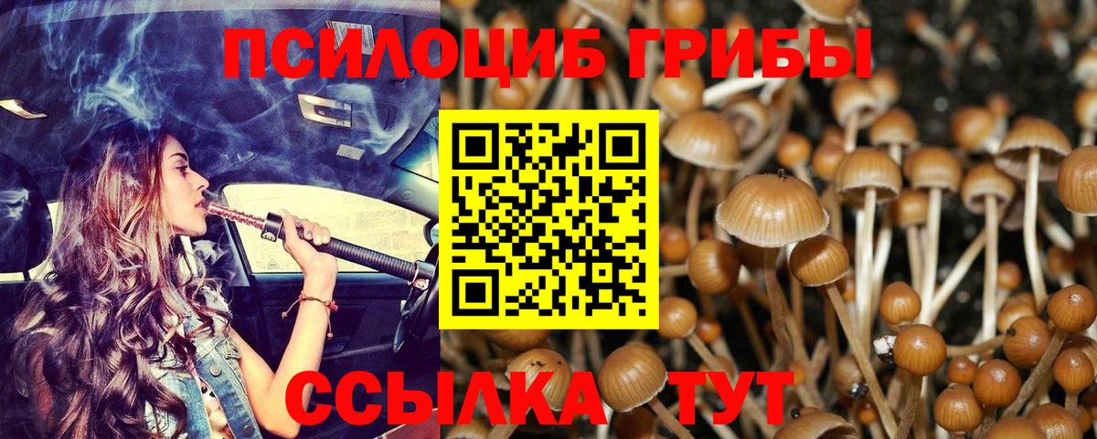 Псилоцибиновые грибы ЛСД Бузулук