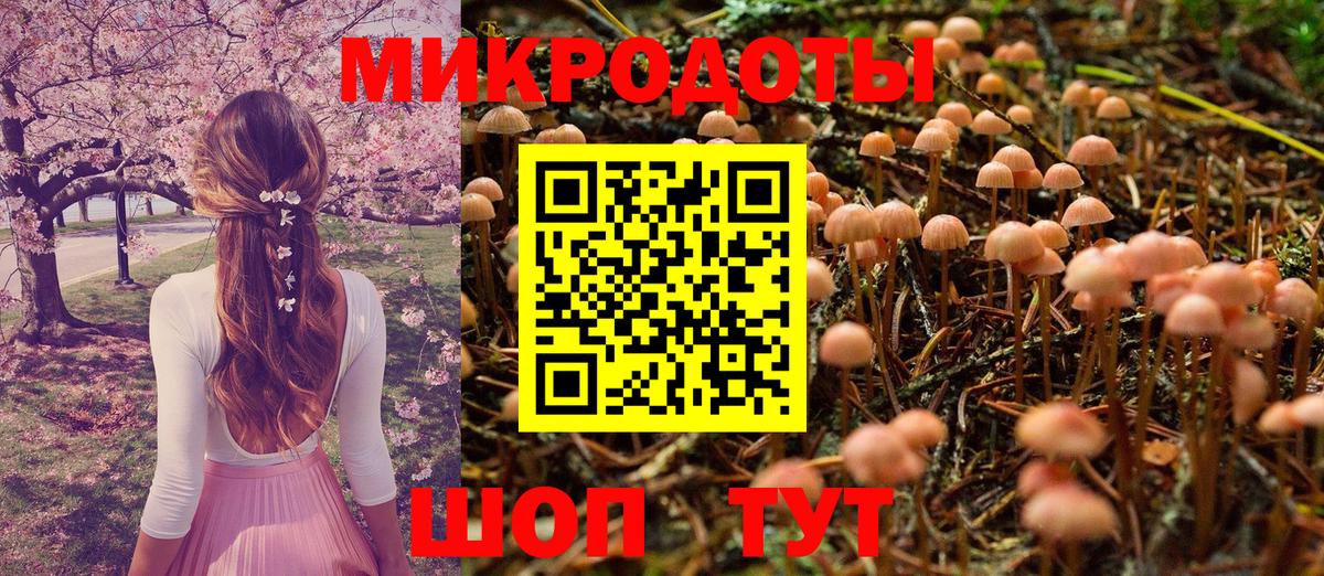 где найти наркотики  Псилоцибиновые грибы Magic Shrooms  Вход с VPN  Бузулук 